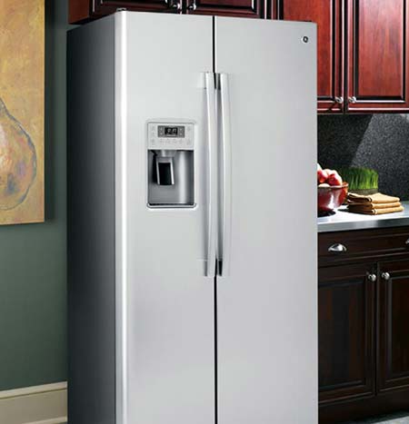 Free-Standing Refrigerator Free-Standing Refrigerator
